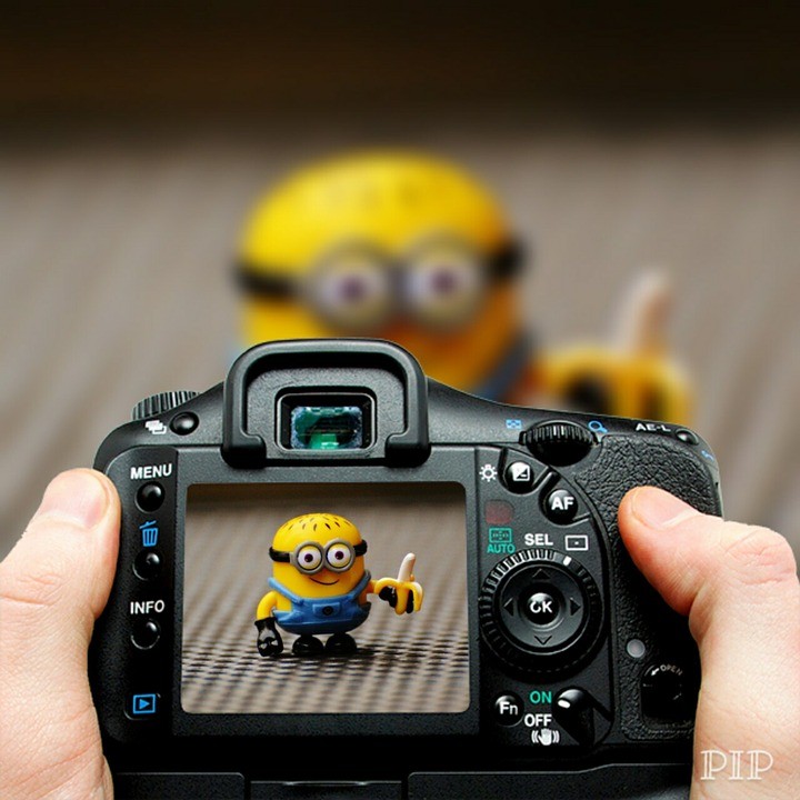 minion-890837_960_720